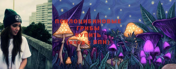 ПСИЛОЦИБИНОВЫЕ ГРИБЫ Алзамай
