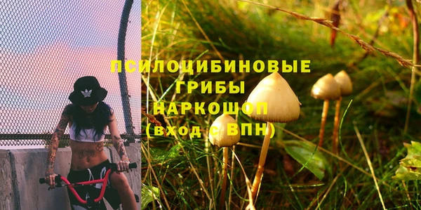 ПСИЛОЦИБИНОВЫЕ ГРИБЫ Алзамай