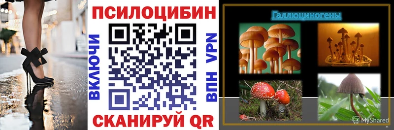 Купить закладки  Канск  Галлюциногенные грибы мухоморы 